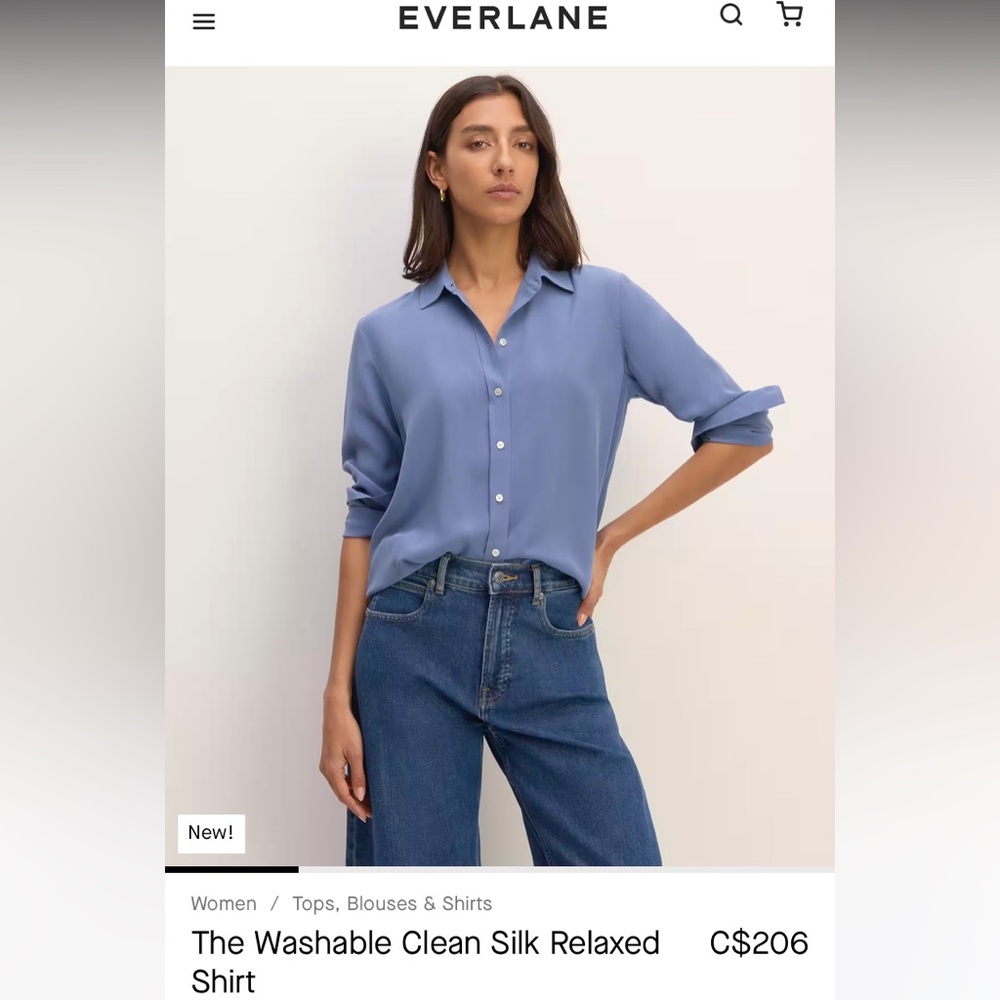 Everlane Clean Silk Washable Relaxed Shirt